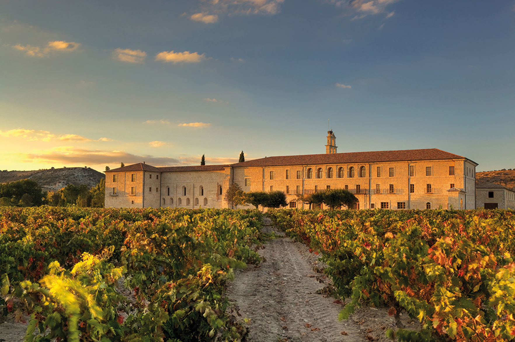 Travel: Wineries north of Madrid coming into their own as the 'Sonoma of Spain'